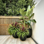UV-Resistant Artificial Fern & Red Dracaena Decorative Plants – Full, Lush & Fade-Resistant!
