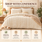Boho Tufted Embroidery Comforter Set
