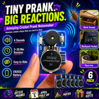 Annoying Cricket Prank Noisemaker  For Halloween Trick-Or-Treating & Pranks