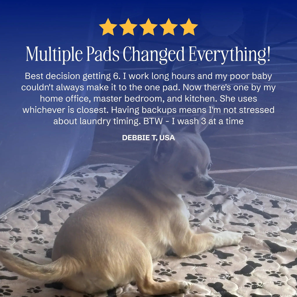 🎉🎉49% OFF This Week Promotions🐶PuppyPad: stylish, super absorbent & reusable for a cleaner home.