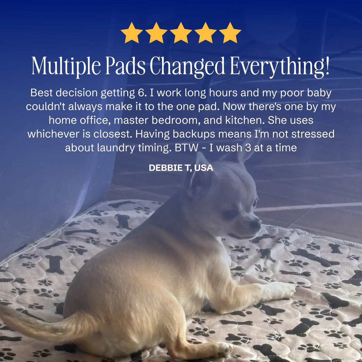 🎉🎉49% OFF This Week Promotions🐶PuppyPad: stylish, super absorbent & reusable for a cleaner home.
