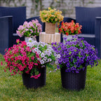 💐🌸Last Day Sale 49% OFF💐 UV Resistant Colorful Artificial Flower