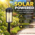 Solar LED Tungsten Filament Pathway & DIY Craft Light