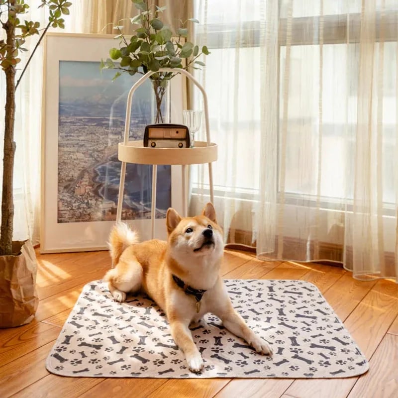 🎉🎉49% OFF This Week Promotions🐶PuppyPad: stylish, super absorbent & reusable for a cleaner home.