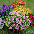 💐🌸Last Day Sale 49% OFF💐 UV Resistant Colorful Artificial Flower