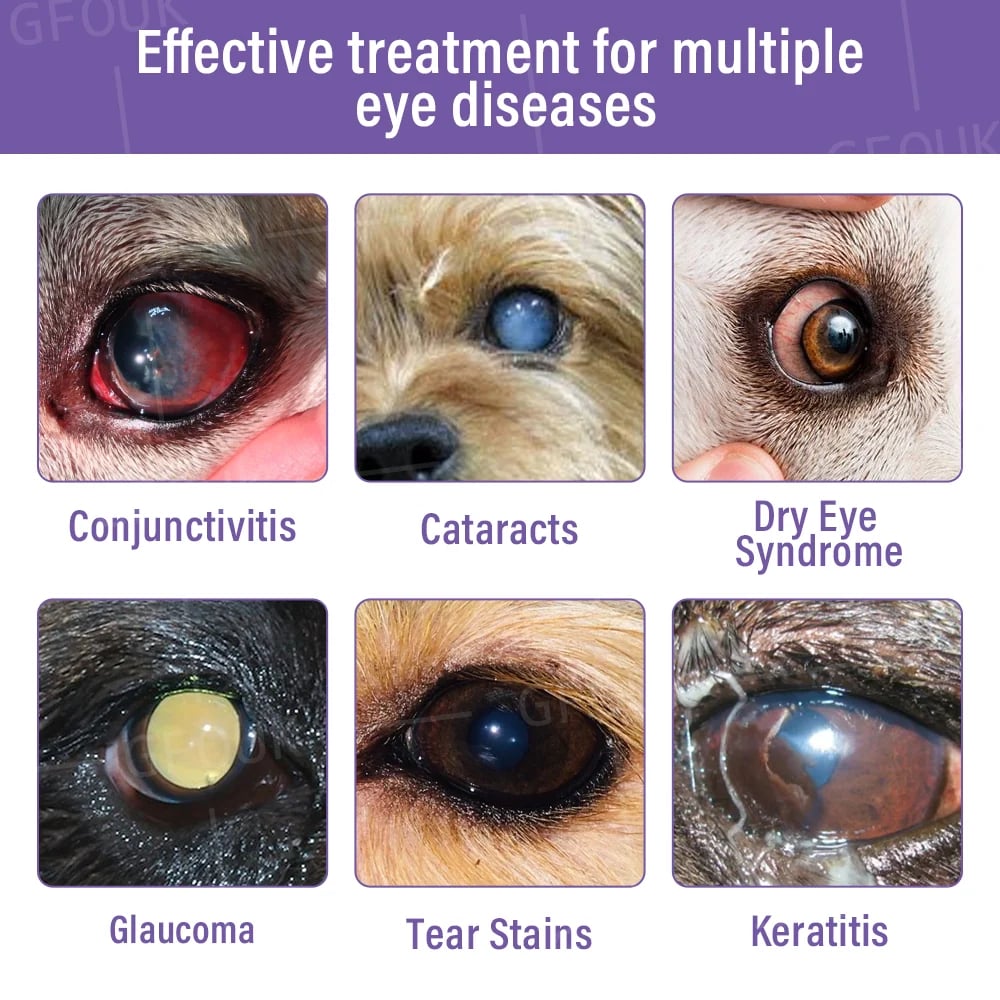 👩‍⚕️NanoCare Pet Eye Drops ☑️ FDA Approved | Relieves Conjunctivitis, Dry Eyes, Cataracts, and Keratitis😸 🐶