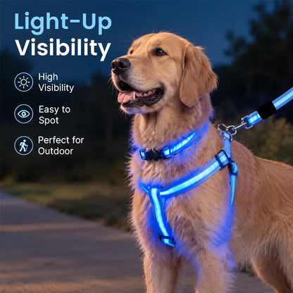 🐶 LED Light-Up Dog Harness & Leash Set –  Safer Night Walks! ✨