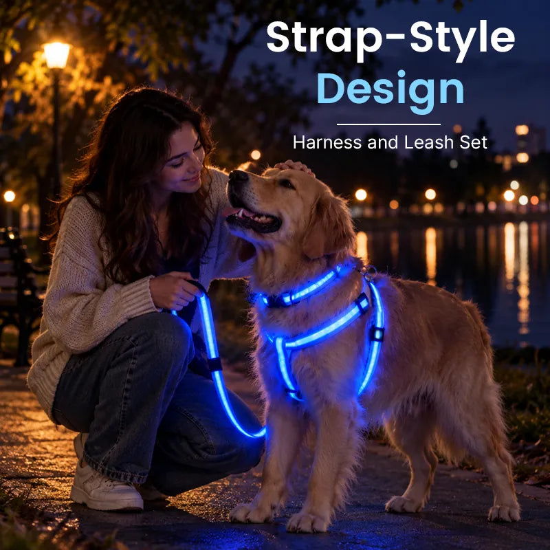 🐶 LED Light-Up Dog Harness & Leash Set –  Safer Night Walks! ✨