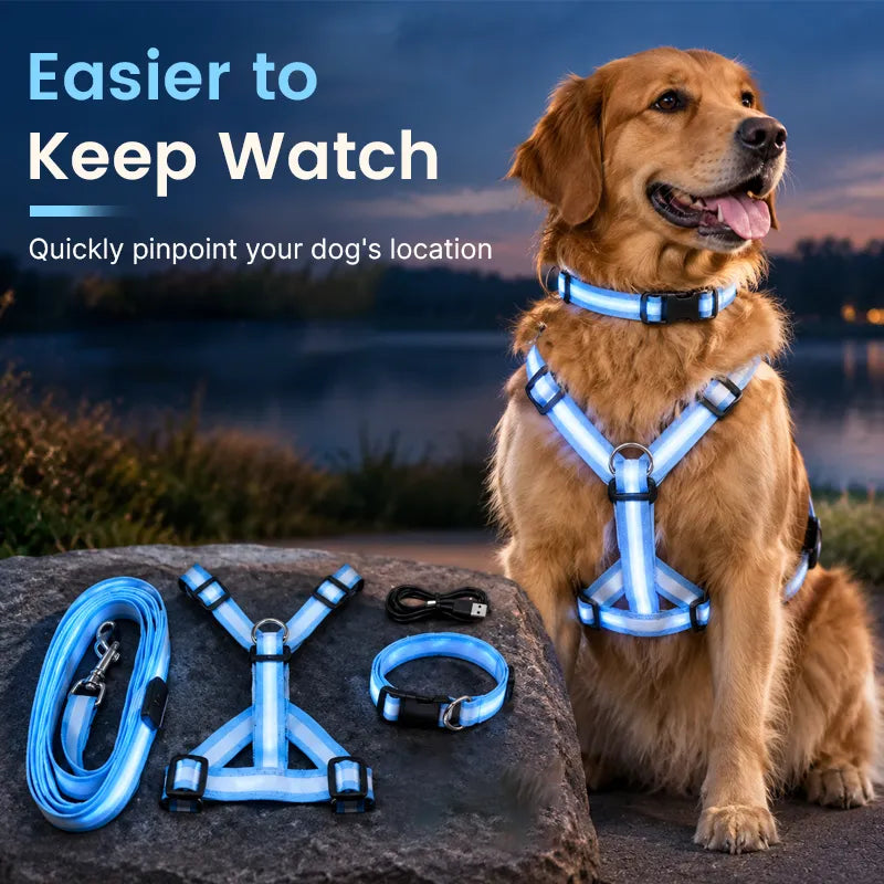 🐶 LED Light-Up Dog Harness & Leash Set –  Safer Night Walks! ✨