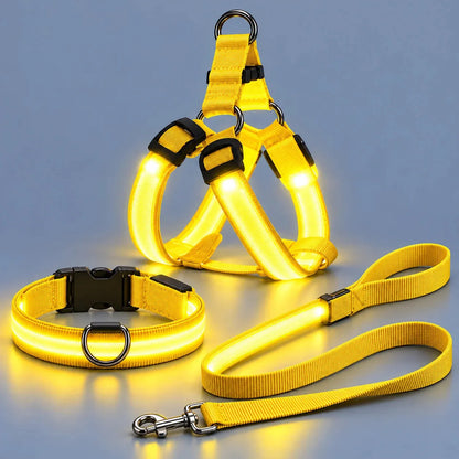🐶 LED Light-Up Dog Harness & Leash Set –  Safer Night Walks! ✨