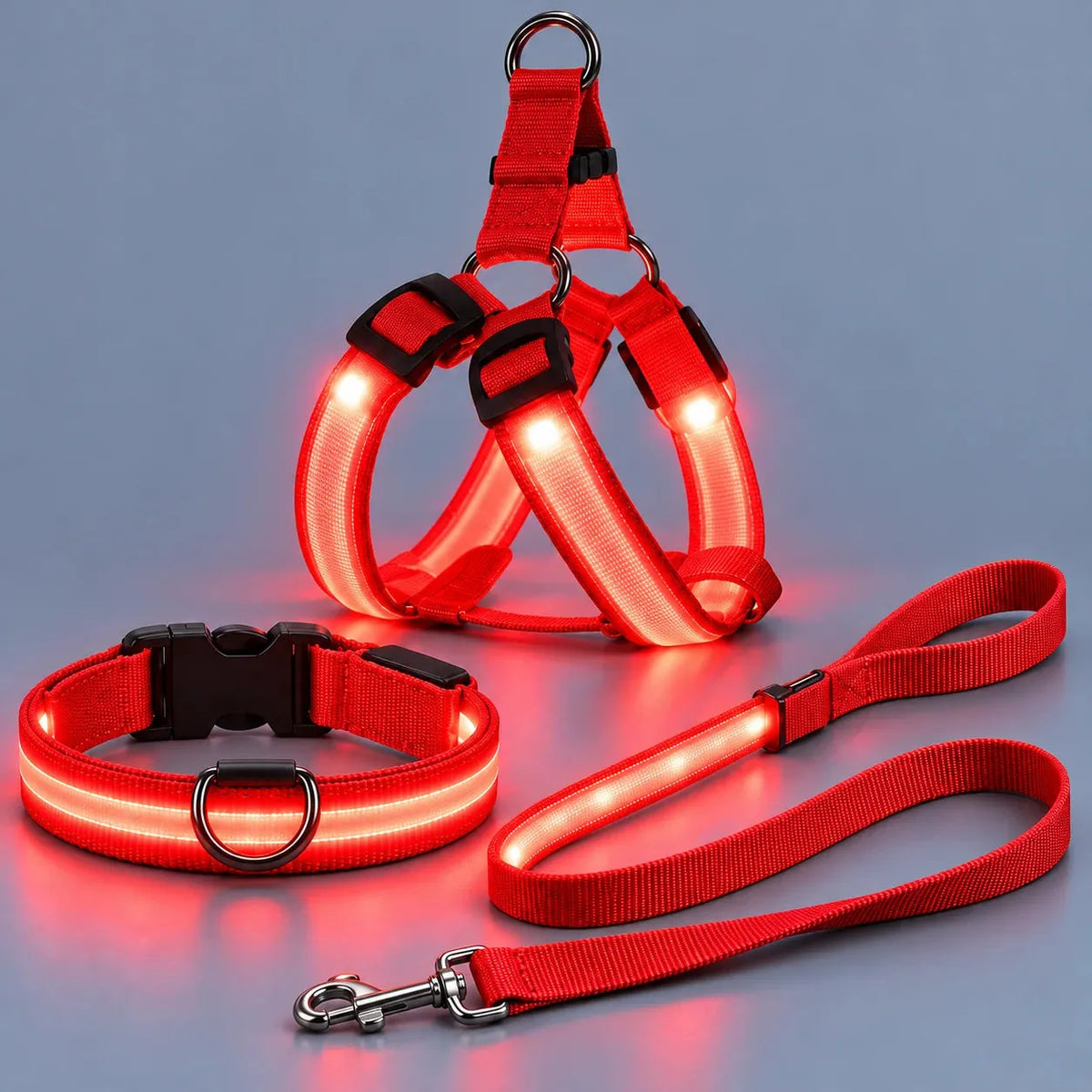 🐶 LED Light-Up Dog Harness & Leash Set –  Safer Night Walks! ✨