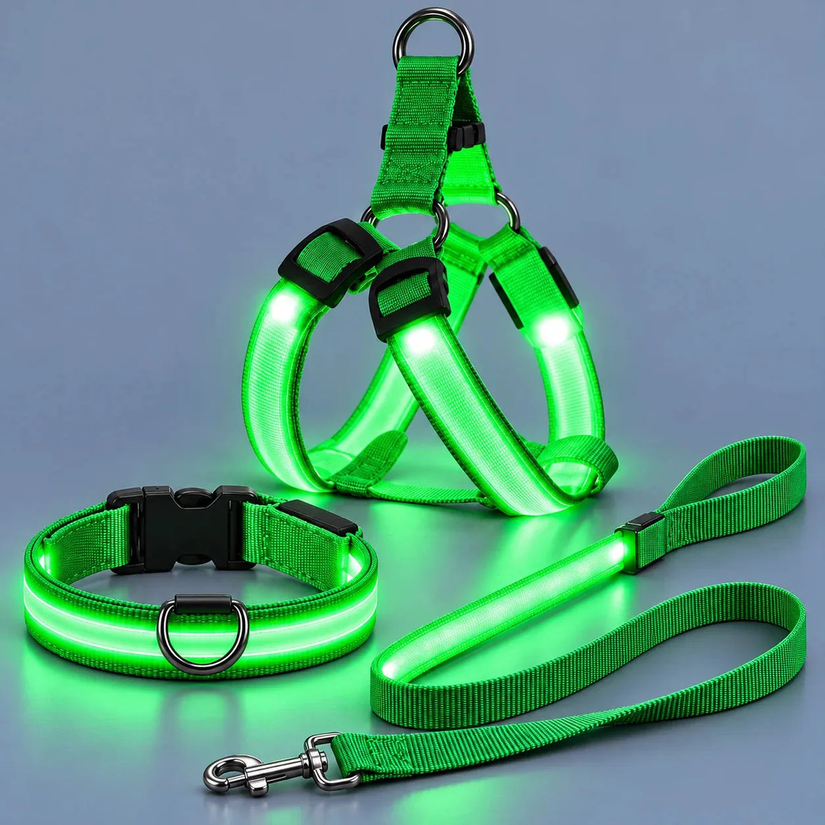 🐶 LED Light-Up Dog Harness & Leash Set –  Safer Night Walks! ✨