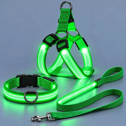 🐶 LED Light-Up Dog Harness & Leash Set –  Safer Night Walks! ✨