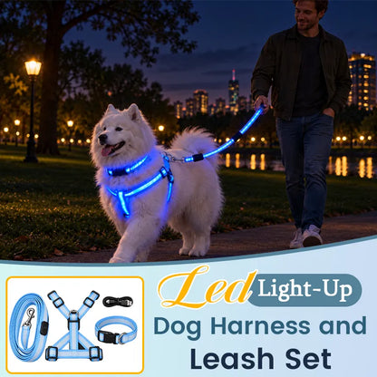 🐶 LED Light-Up Dog Harness & Leash Set –  Safer Night Walks! ✨