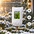Plant Frost Protector - with Zippered Drawstring and Transparent Panel