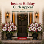 🌸Classic Red Poinsettia Planter Inserts – The #1 Christmas Flower That Never Wilts, Never Fades, Never Needs Watering