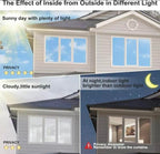 Window Privacy Film One Way, UV Sun Blocking, Heat Control
