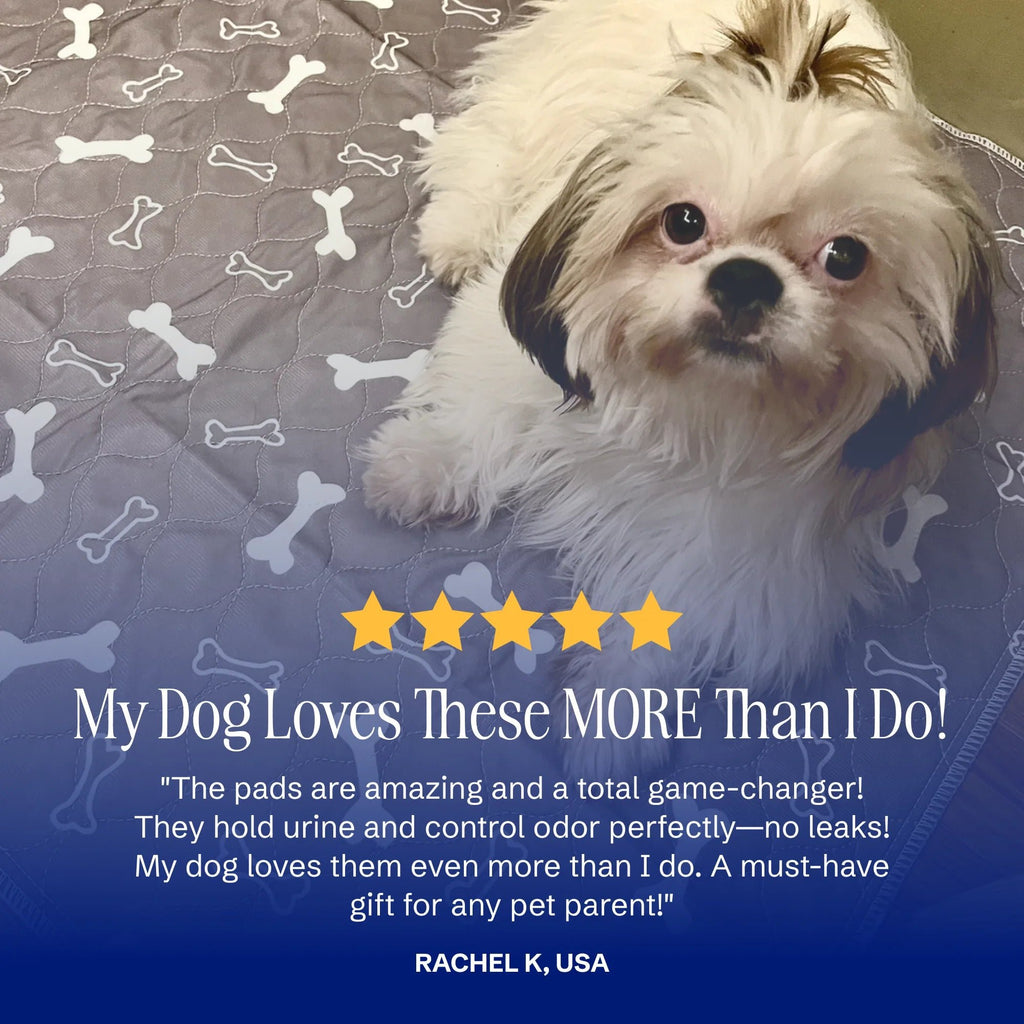 🎉🎉49% OFF This Week Promotions🐶PuppyPad: stylish, super absorbent & reusable for a cleaner home.