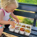Portable Divided Snack Box — Large Capacity Tray for Picnics, Movies & Travel